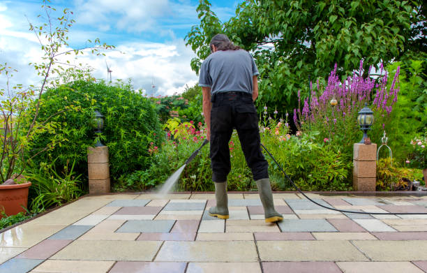 Trusted Pell City, AL Pressure Washing Services Experts