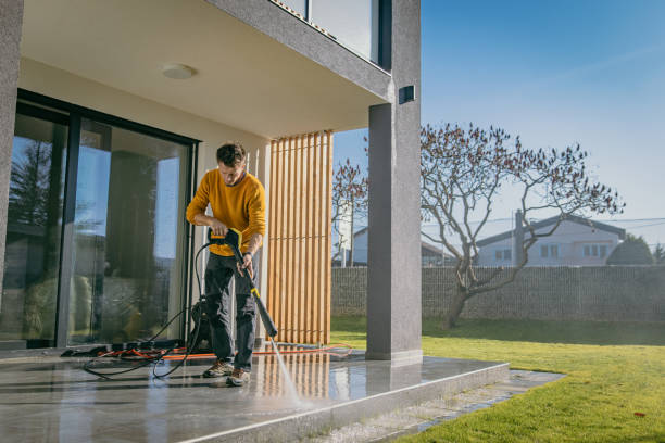 Best Roof Washing  in Pell City, AL
